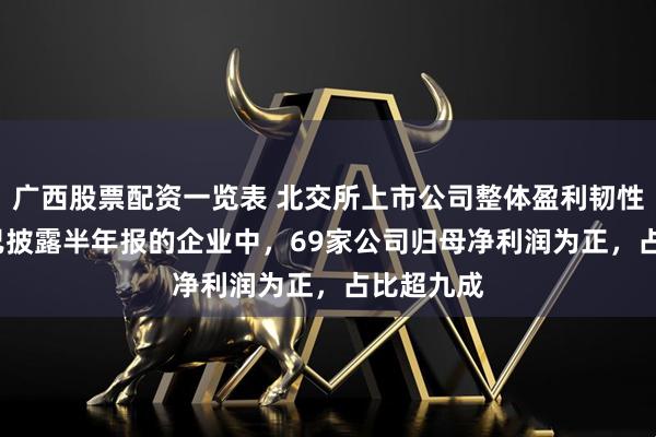 广西股票配资一览表 北交所上市公司整体盈利韧性强 75家已披露半年报的企业中，69家公司归母净利润为正，占比超九成